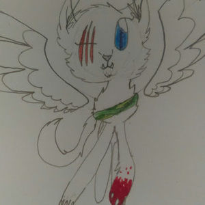 Meet your Posher, White